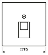 Jung AL2969-1UA Abdeckung f.IAE/UAE Aluminium Naturton, mattgebeizt
