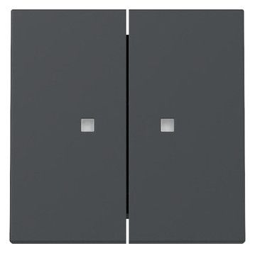 GIRA 363128 Wippe 2fach Kontrollfenster System 55 Anthrazit