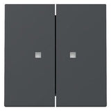 GIRA 363128 Wippe 2fach Kontrollfenster System 55 Anthrazit