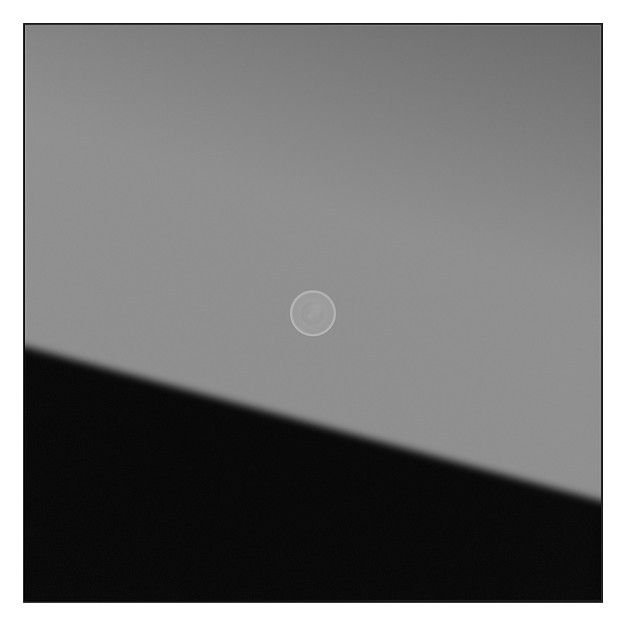 GIRA 5561000 Kameramodul System 106 Glas Schwarz