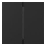 GIRA 3295005 Wippe 2fach System 55 Schwarz matt (lackiert)