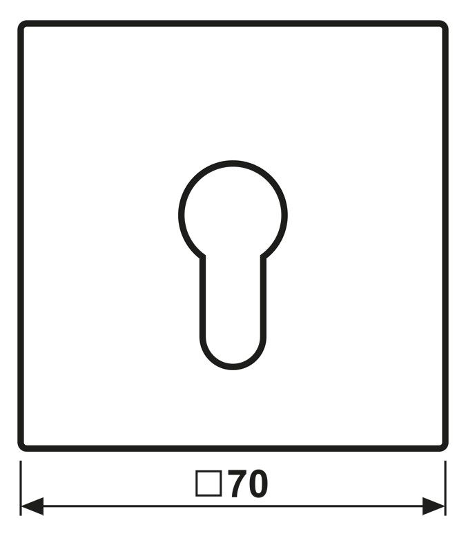 Jung ES2925 Abdeckung f.Schlüsselschalter LS Edelstahl